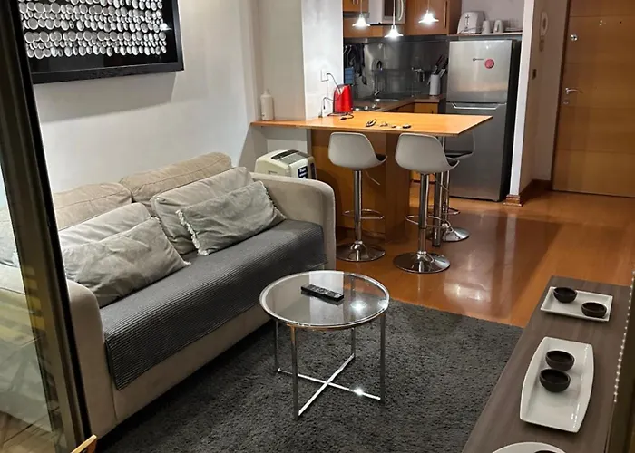 Precioso Departamento Providencia Central